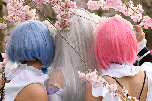 Canvastavla Cosplay Girls unter Kirschblüten