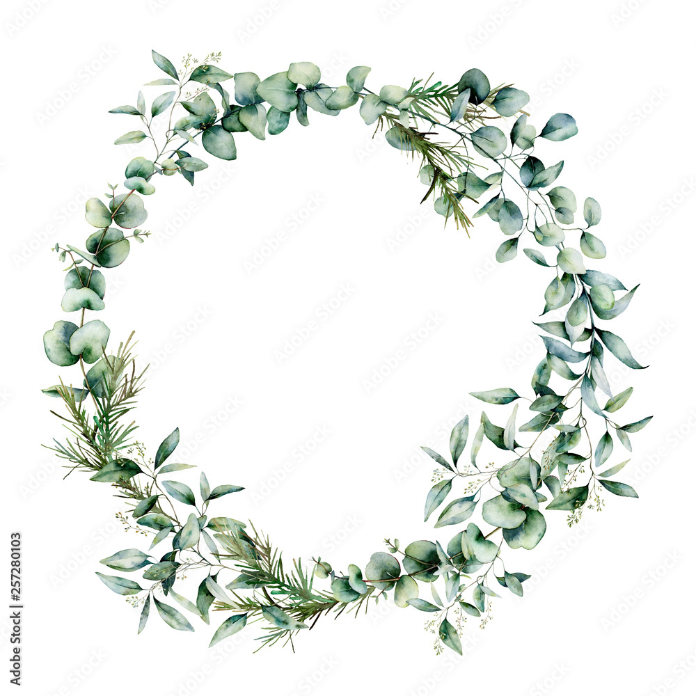 Watercolor different eucalyptus wreath. Hand painted eucalyptus branch and leaves isolated on white background. Floral illustration for design, print, fabric or background.