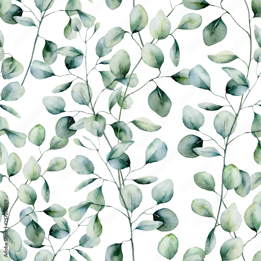 Watercolor silver dollar eucalyptus seamless pattern. Hand painted