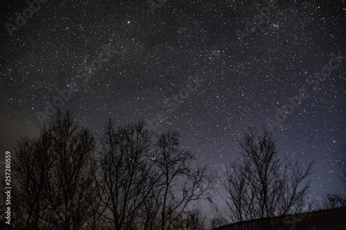 starry sky north