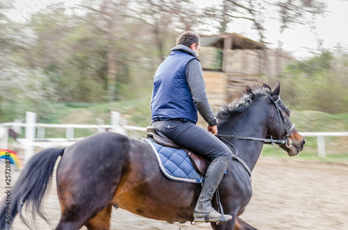 Novi Sad, Serbia - March 16, 2019: Horseman in training a horse clearing