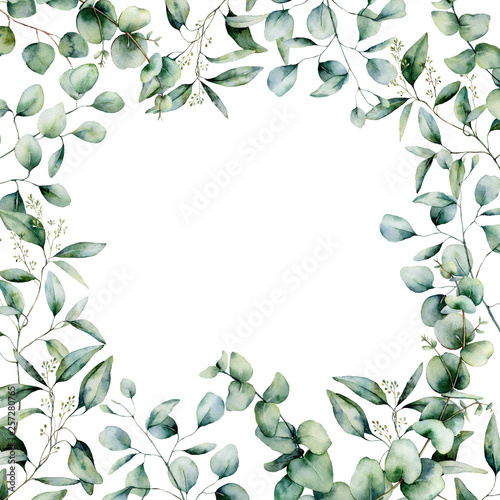 Watercolor different eucalyptus square card. Hand painted eucalyptus branch and leaves isolated on white background. Floral illustration for design, print, fabric or background.