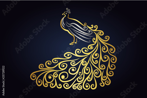 peacock isolated on dark background. Vector Peafowl bird with feathers in silver and gold colors. Wild exotic bird logo. Peacock with golden tail.