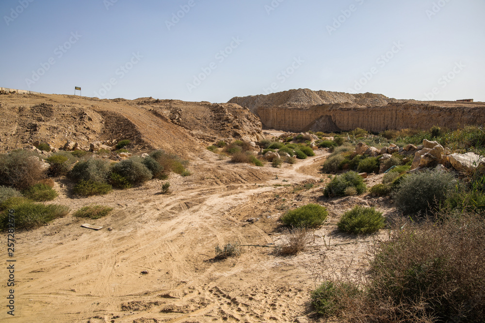 An Egyptian Desert