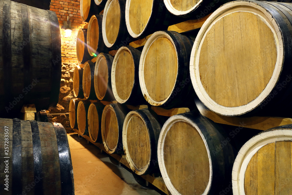 Rows of alcohol barrels in stock. Distillery. Cognac, whiskey, wine, brandy. Alcohol in barrels