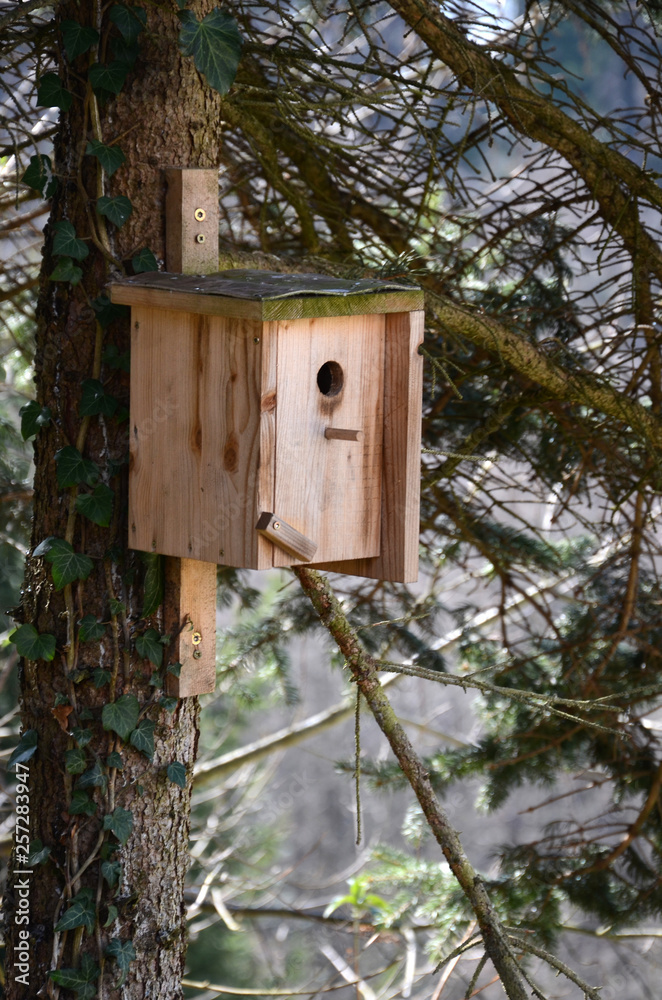 Nistkasten im Wald