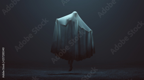 Fotografie, Obraz Floating Evil Spirit with Arms Out in a Death Shroud in a Foggy Void Back View 3