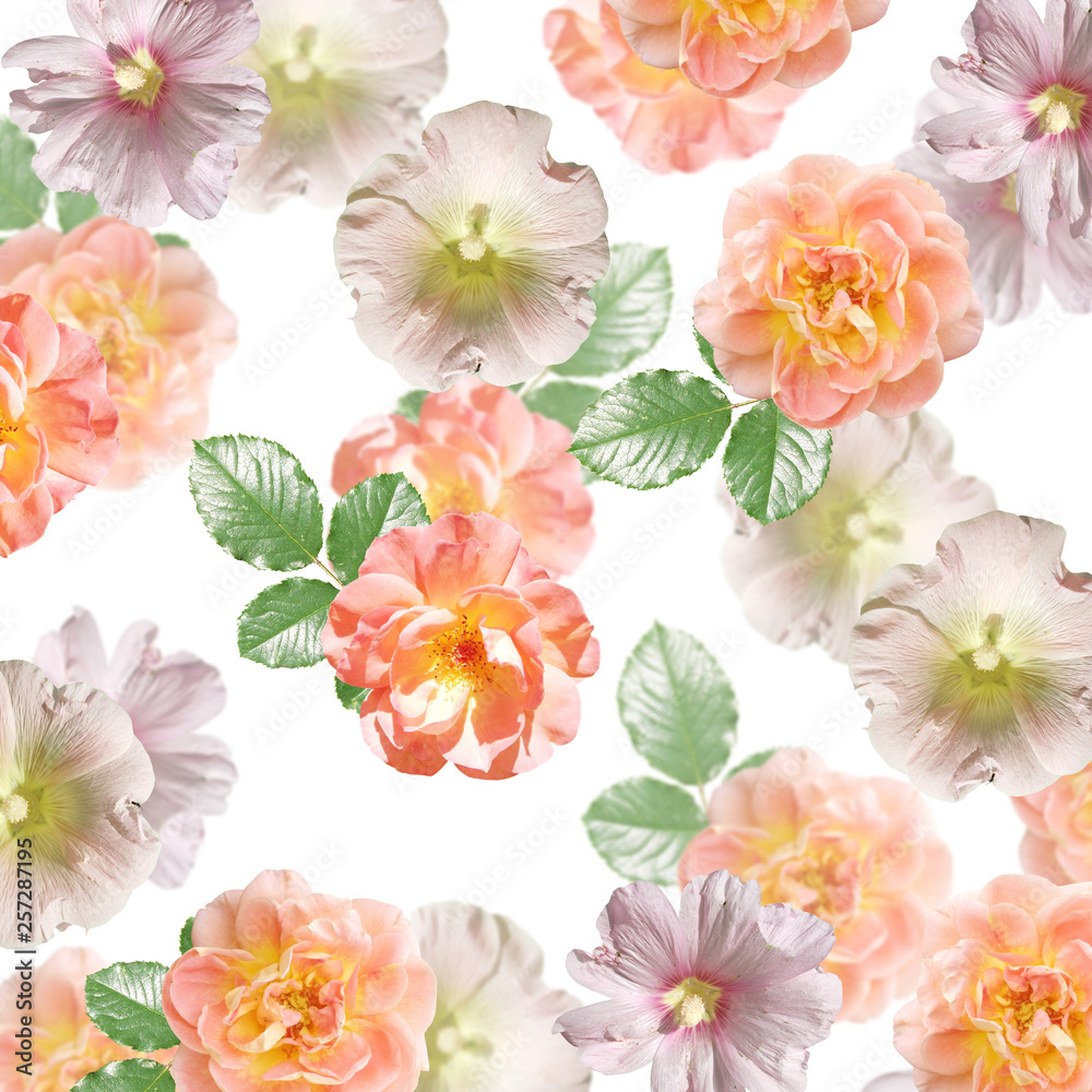 Beautiful floral background of mallow and roses. Isolated 