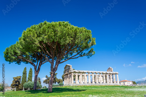 Temple of Athena Paestum, Italy photo