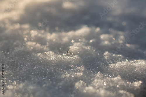 macro of sparkling wet snow in golden evening sun with shallow depth of field © dreamansions