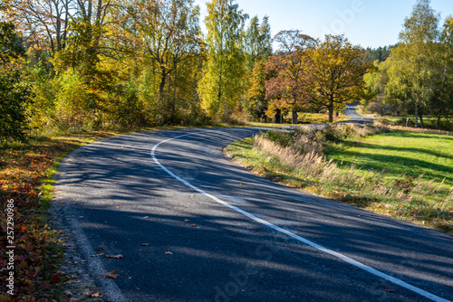 empty gravel road in autumn © Martins Vanags