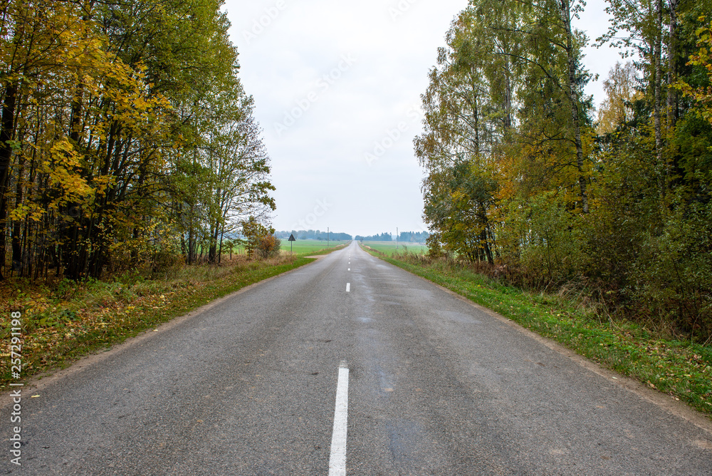 Obraz premium empty gravel road in autumn