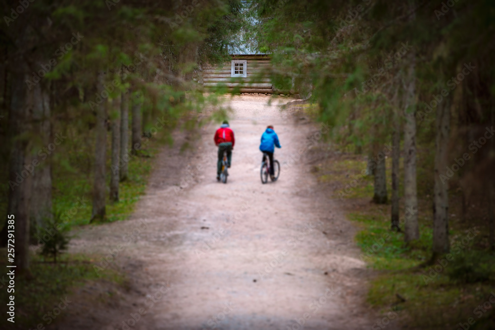 Beautiful sand forest path with two cyclists
