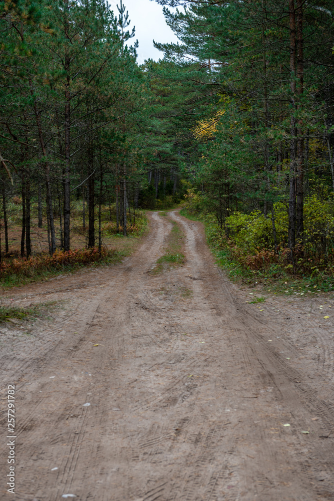 empty gravel road in autumn