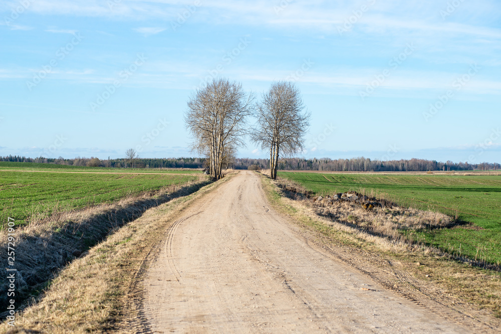 empty gravel road in autumn