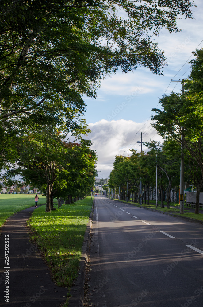 Obraz premium 公園と道