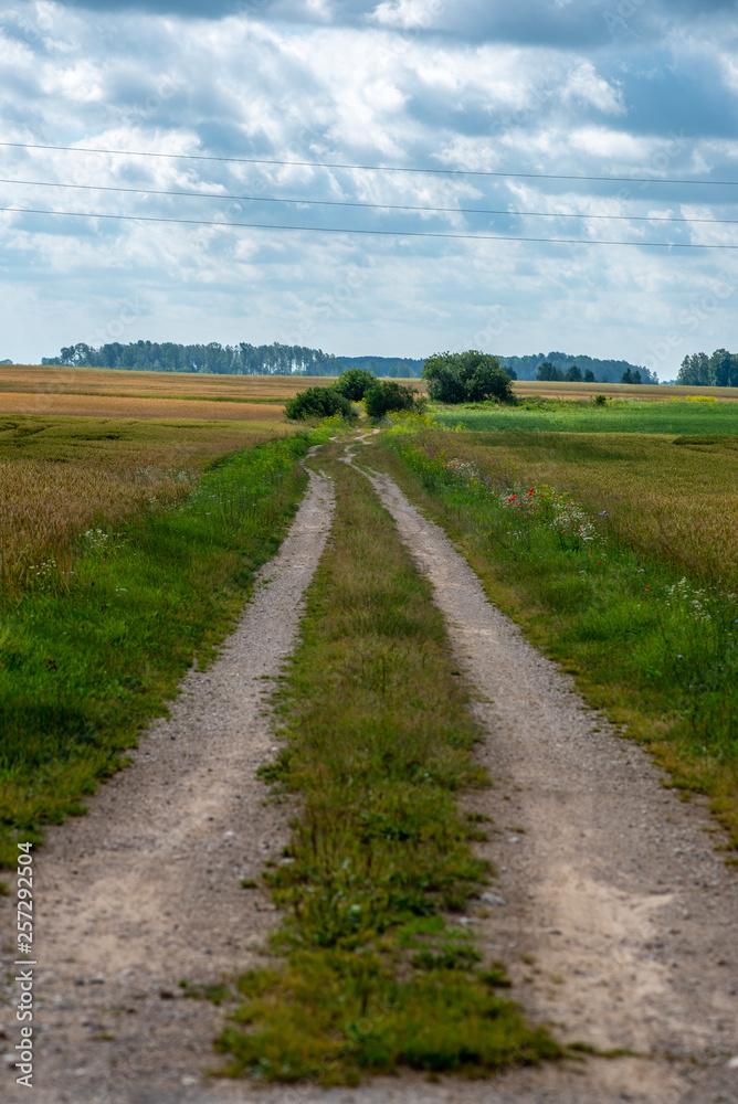 empty gravel road in autumn