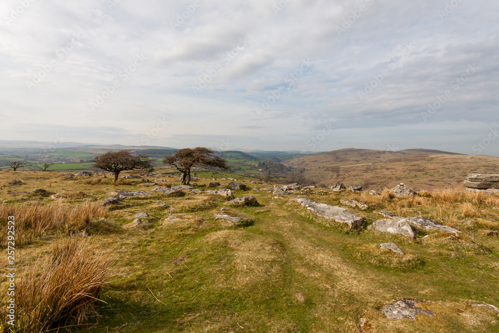 Dartmoor with trees