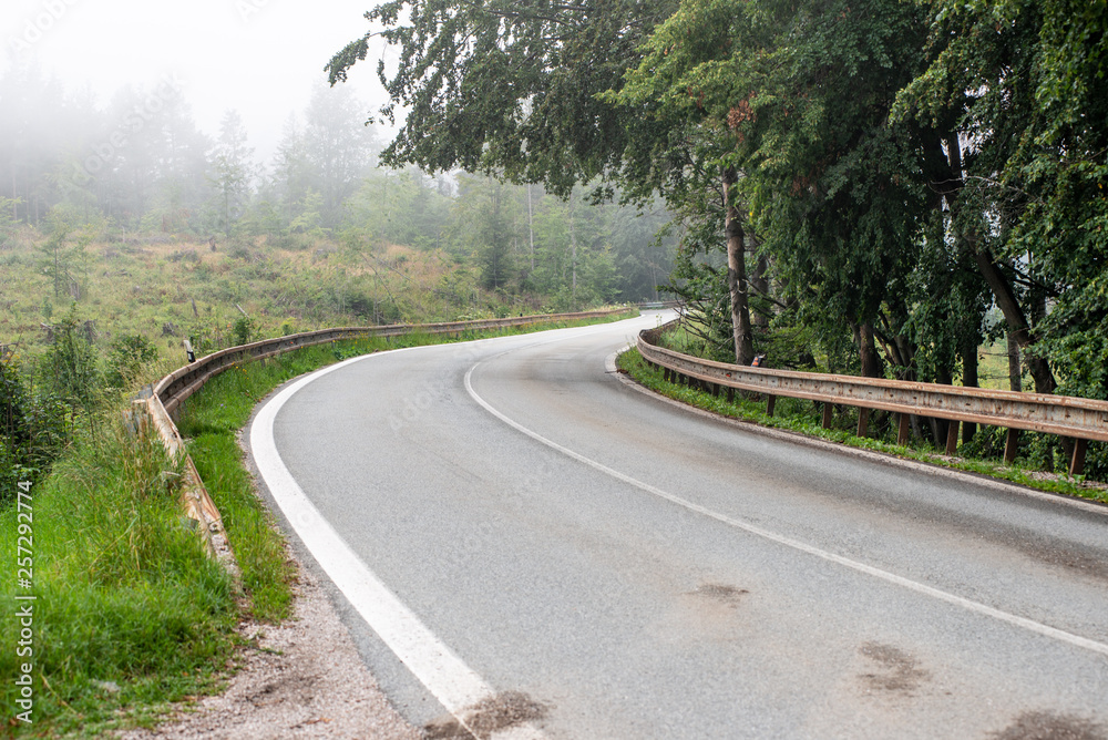 Fototapeta premium empty asphalt road in autumn