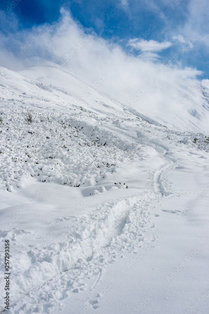 snow covered tourist trails in slovakia tatra mountains