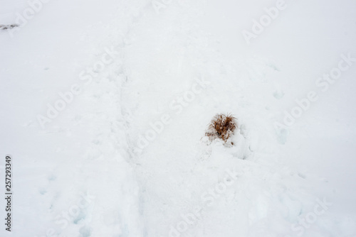 snow covered tourist trails in slovakia tatra mountains