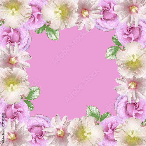 Beautiful floral background of lilac roses and mallow. Isolated