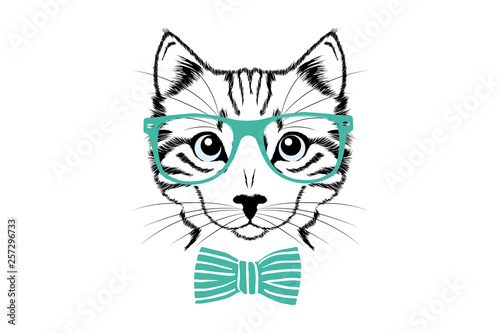 Sketch cat's face with blue eyes. Cat's head with green glasses and cute tie. Domestic animal vector portrait. Education or business logo.