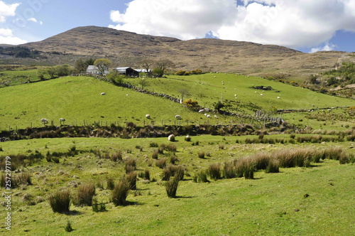 Countryside Landscape in Kerry, Ireland