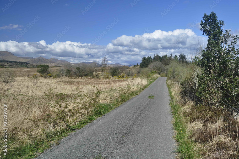 Countryside Road in Kerry, Ireland