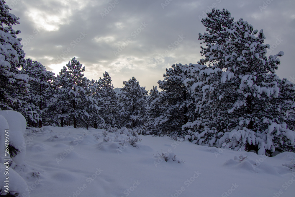 Rocky Mountain National Park 03/2019 Rocky Mountain National Park 03/2019