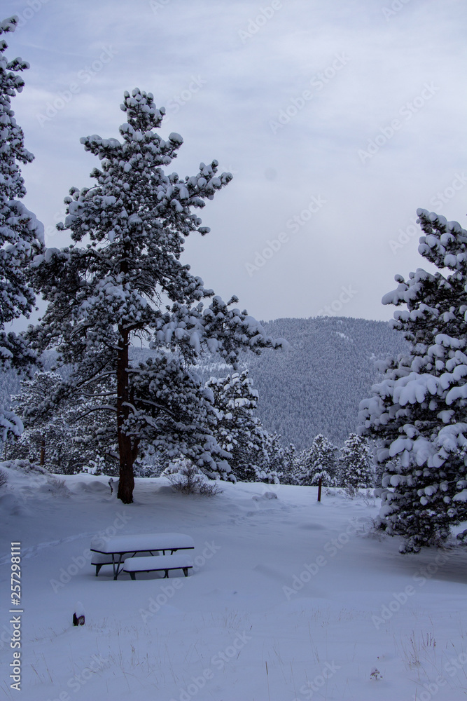 Obraz premium Rocky Mountain National Park 03/2019