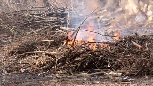 Bonfire from dry branches after pruning trees in the city park