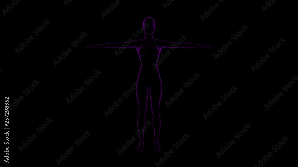 Human Female Body. Rotate Motion. Black Background 4k footage. 3D Rendering. Concept Perfect Body Human Female Body. Rotate Motion. Black Background 4k footage. 3D Rendering. Concept Perfect Body
