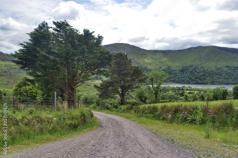 Countryside Road in Ireland