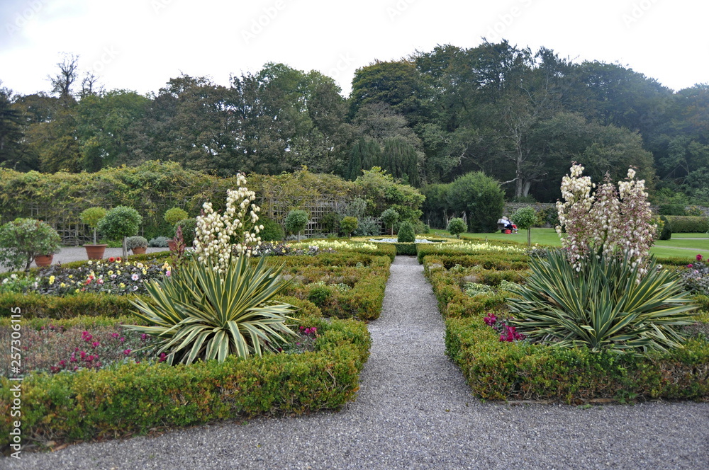 Obraz premium Gardens in Killarney National Park, Irelan