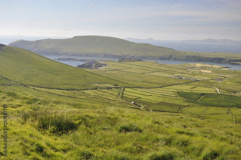 Ring of Kerry Landscape, Ireland