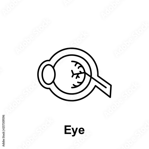 Eye, organ icon. Element of human organ icon. Thin line icon for website design and development, app development. Premium icon