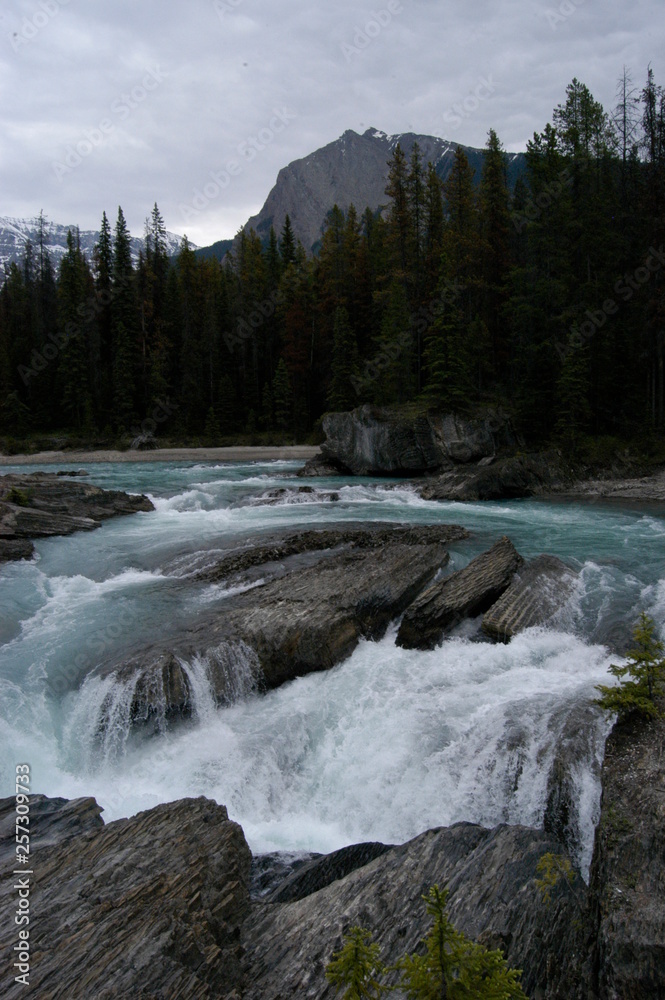 natural landbridgein the canadian rockies natural landbridgein the canadian rockies