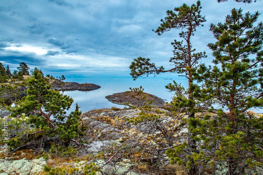 Karelia. The nature of Russia. Ladoga lake. Morning on Lake Ladoga. Pines grow by the lake. Rocky shore. Moss grows on the rocks.