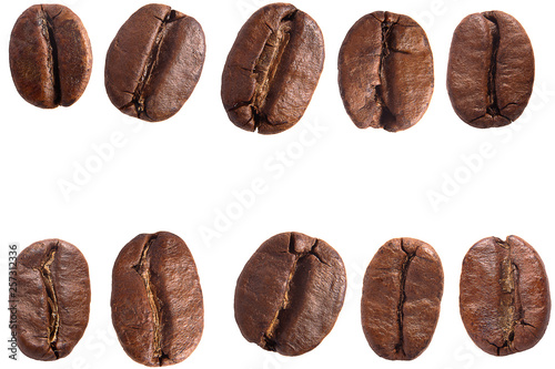 Collection of coffee beans. Isolated on white background.