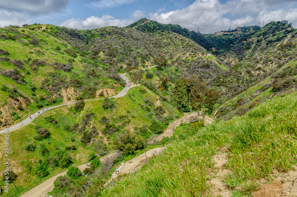 Hiking trails in Runyon Canyon, Los Angeles, CA.