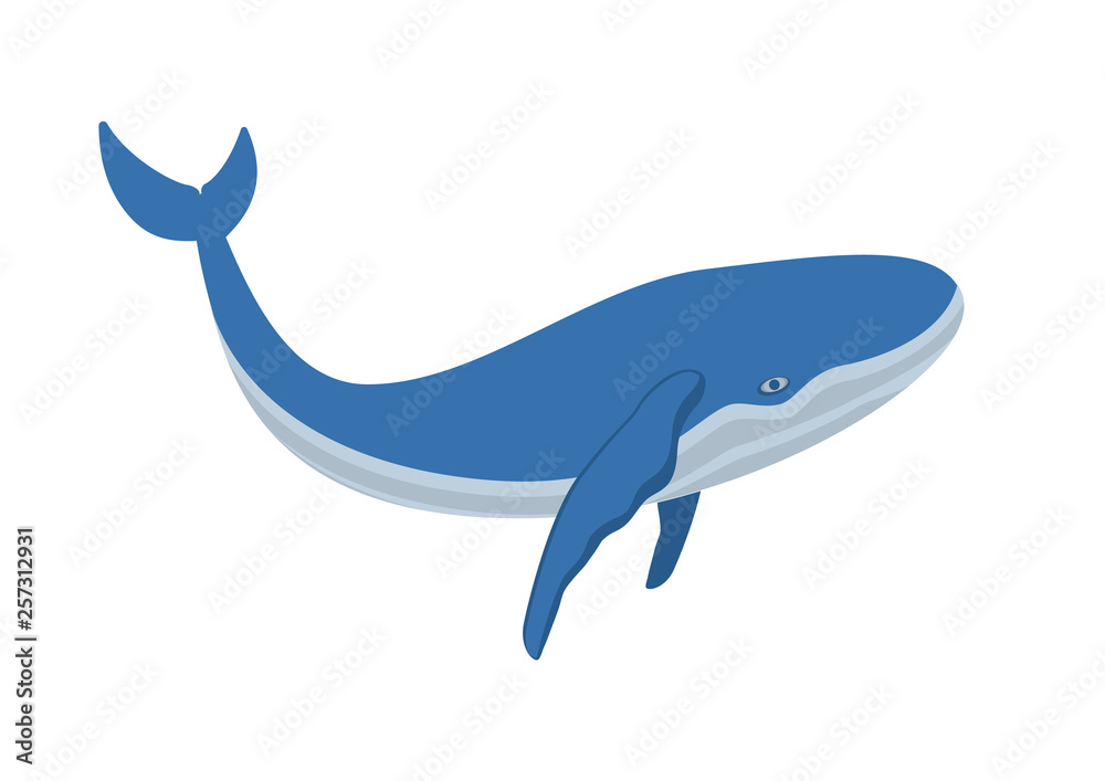 Obraz premium Flat Vector simple logo blue whale for print isolated on white background.