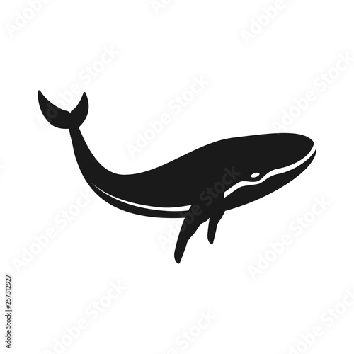 Vector silhouette whale for print isolated on white background.