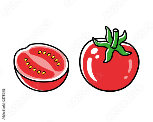 Red tomato with a half vector isolated