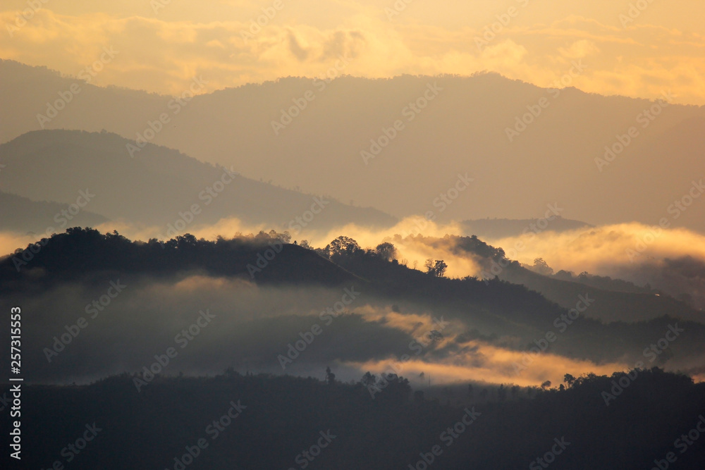 sea fog on the mountain hills in the morning