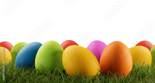 easter eggs green grass fie...