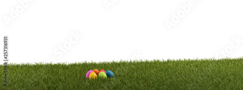 easter eggs green grass fie...