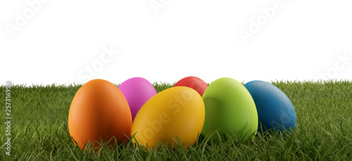 easter eggs green grass fie...