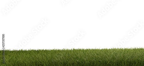 green grass field 3d-illust...
