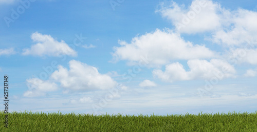 sky green grass field 3d-il...
